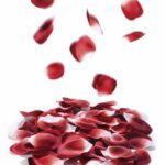 Petali di rosa finti Rose Petal Explosion - Bijoux Indiscrets