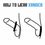 Anello per Pene Rooster Xander Velv'or (posizione)